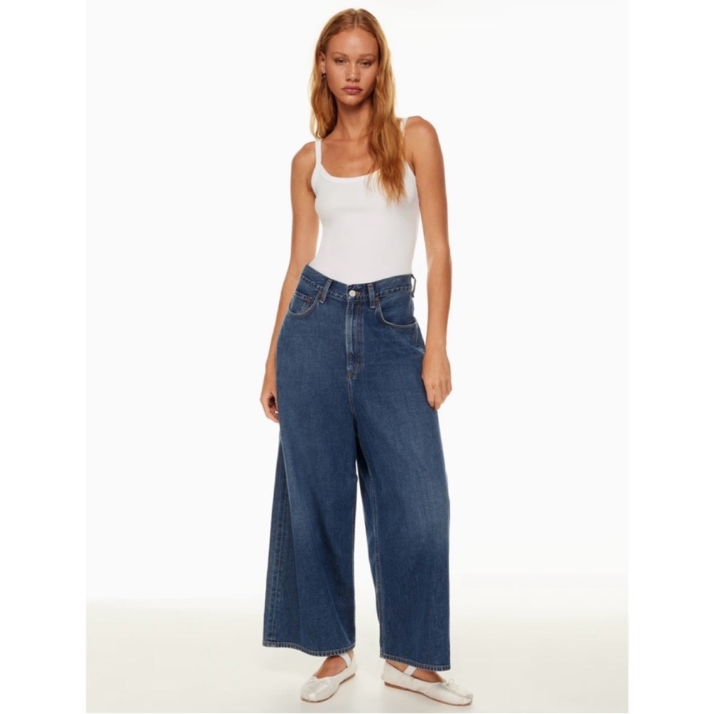 NEW Agolde Valeria  Oversized Baggy Jeans Size 30
